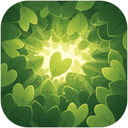 Choice Canopy: Your Decision Helper