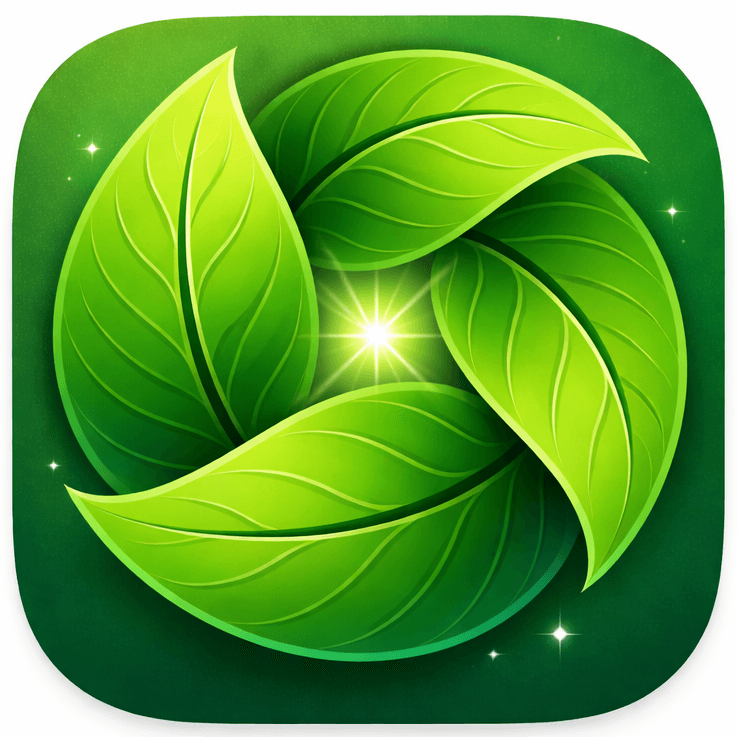 Choice Canopy: Your Decision Helper